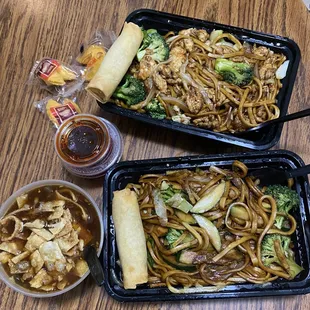 Photo taken on March 10th, 2023, top dish Chicken Lo Mein, bottom Vegetable Lo Mein, spring rolls, and a hot &amp; sour soup.