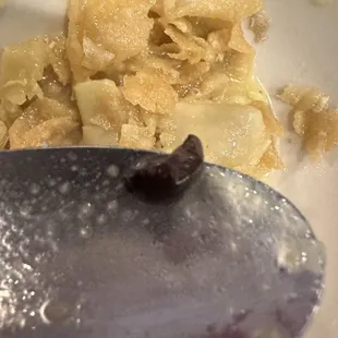 Roach in my soup