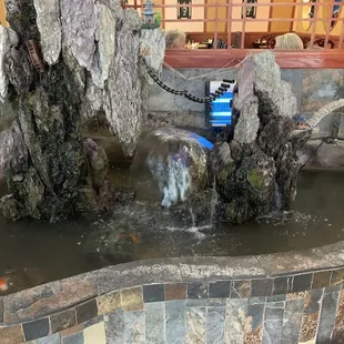 Koi Pond at Empire Buffet