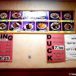 Empire Express (Park Slope, Brooklyn, NY). Picture Menu on the wall.  Dr. Takeshi Yamada and Seara (Coney Island sea rabbit)