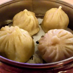 Pork Dumplings