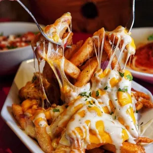 a plate of cheesy fries