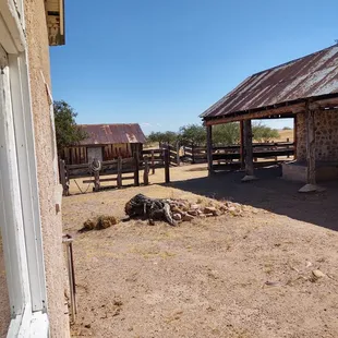 Back lot corral