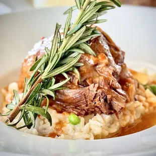 Beef Short Rib Served with sweet Barolo wine sauce, rice and green peas