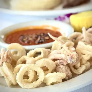 Fried Calamari