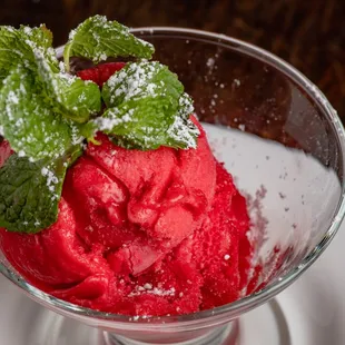 raspberry sorbet