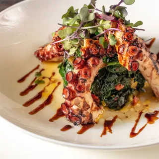 Grilled Octopus