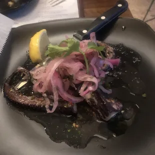 Octopus