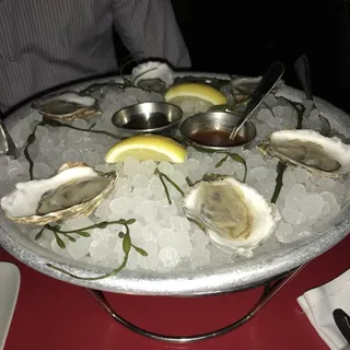 Oysters on the Half Shell