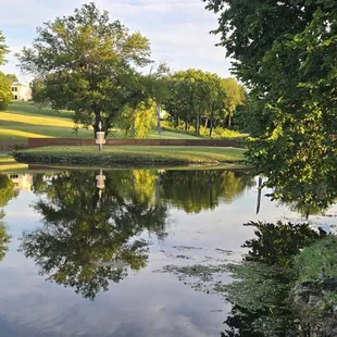 Disc golf island hole 16 green