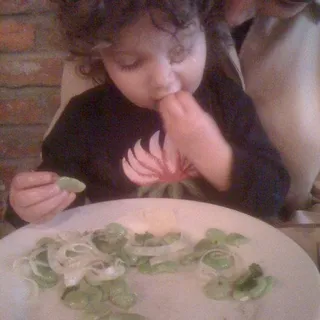 Fava Bean