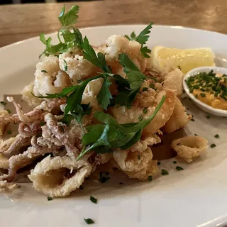 Rhode Island Squid