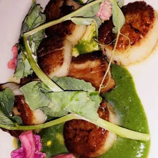 Seared Scallops