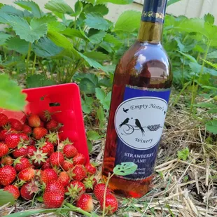 Strawberry Lane has a great Strawberry flavor