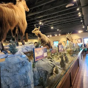 Decor
