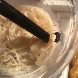 There was a bee in my Okinawa drink!