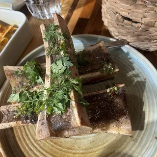 Bone Marrow(3)