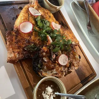 Snapper