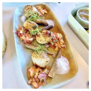 U-10 SCALLOPS