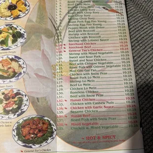 Lunch Specials &amp; More Entree Photos.