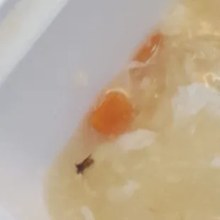 bugs in my food