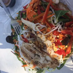 Bok Choy &amp; Napa Cabbage salad with chicken! One of thenmost refreshing, delicious salads I have ever had. The dressing was so so good.
