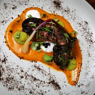 Octopus