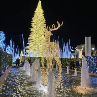 White reindeer and white trees