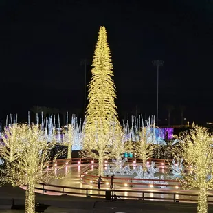 Fun skating among all the lights!