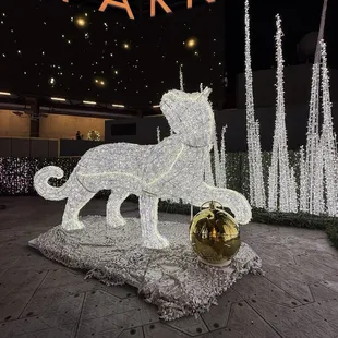 Cat light display (Dec '24)