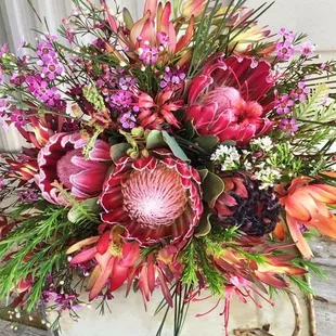 Tropical Protea in bright vivid colors,
