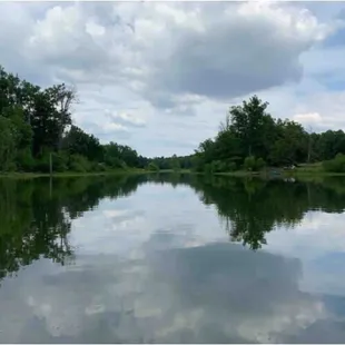 Fully stocked lake on property