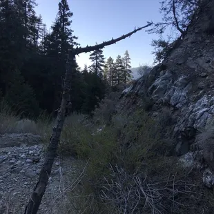 Looking down the gorge.