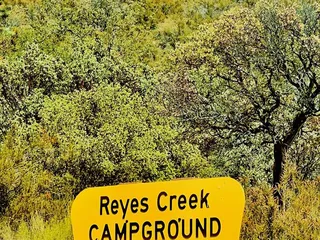 Reyes Creek Campground