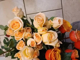 Delfino's Flowers and Gifts