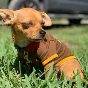 Our little girl enjoying the park.