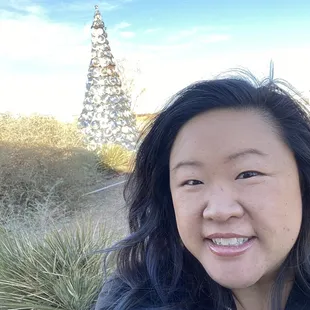 This hub cap Christmas tree lit up at night and looked pretty cool.