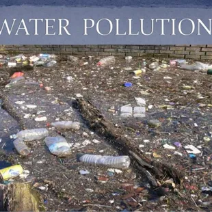 What's in your water?