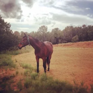 Take a trip on Justy's bay, her pride and joy.