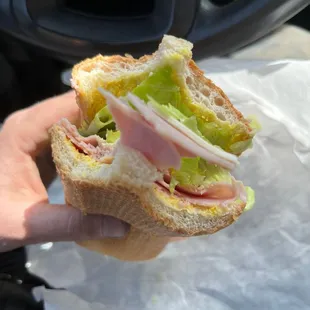 a person holding a sandwich