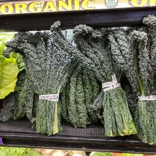 a display of organic produce