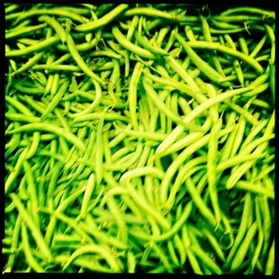 Beans!