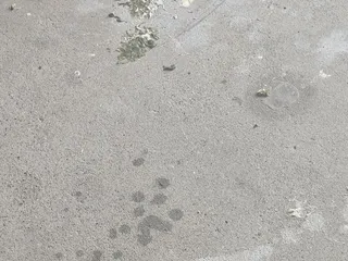 Wood River Apartments