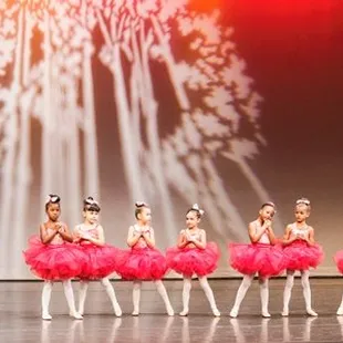 Little redbirds for Snow White~