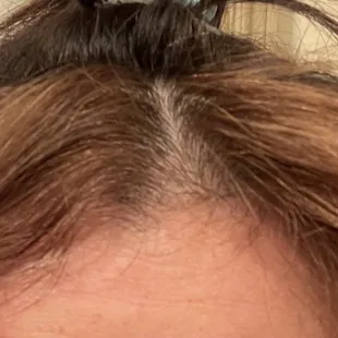 Retouched Roots After 3 weeks... the toner is gone and no where near yellow blonde.