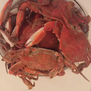 Crab after steaming!