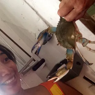 Kissy Bridges of Endurance Seafood assures me the crab won't bite.