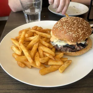 Taverna burger with fries