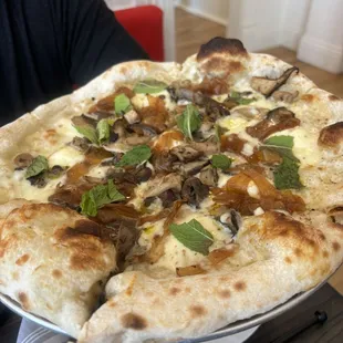 Mushroom Pizza