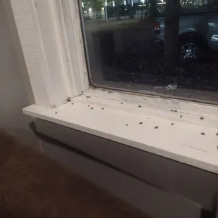 Health department please help